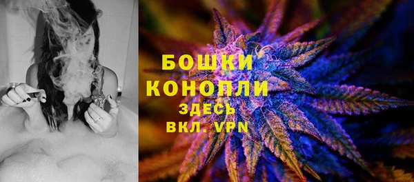 a pvp Богданович